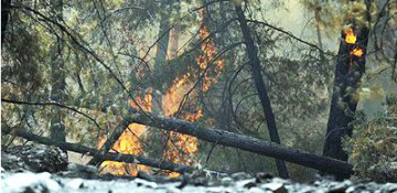 Dozens of thousands people evacuated in Australia's Victoria amid bushfires