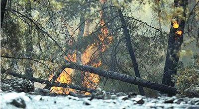 Dozens of thousands people evacuated in Australia's Victoria amid bushfires