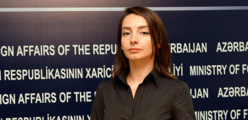 Foreign Ministry commented on information of European Parliament not to participate in parliamentary elections as observer