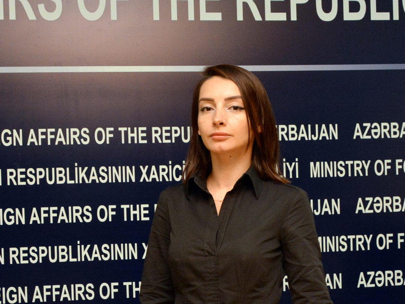 Foreign Ministry commented on information of European Parliament not to participate in parliamentary elections as observer