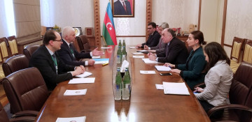 Azerbaijani FM meets with head of CIS observation mission