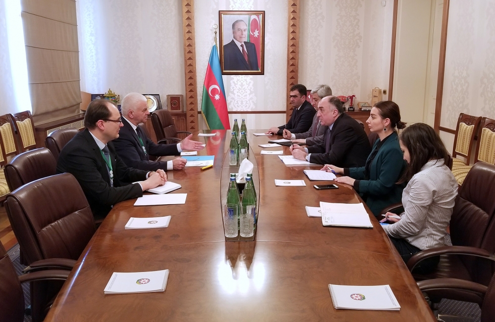 Azerbaijani FM meets with head of CIS observation mission