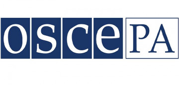 OSCE PA observer: no violations of elections legislation detected