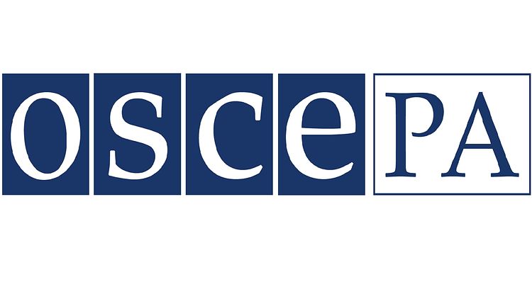 OSCE PA observer: no violations of elections legislation detected