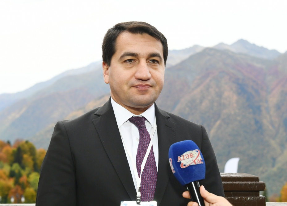 Hajiyev: Some forces with radical thinking emerged in European Parliament after recent parliamentary elections in Azerbaijan
