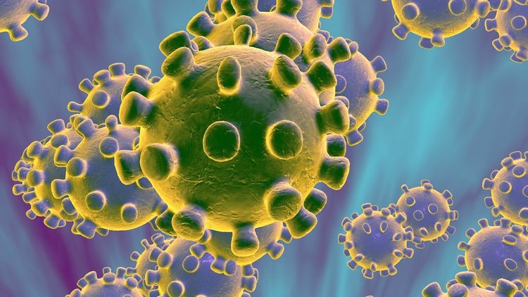 South Korea reports its first death from coronavirus