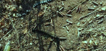 Azerbaijan Military Prosecutor's Office files criminal case on Armenian provocation