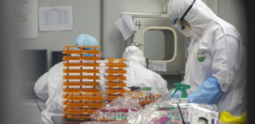 Azerbaijan discloses amount of funds allocated to combat coronavirus