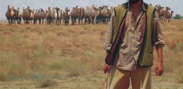 “The Steppe Man” wins “Best narrative feature” and “Best director” awards at Mindfield Film Festival