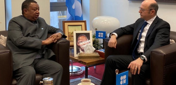 Azerbaijani energy minister holds several important meetings in Vienna