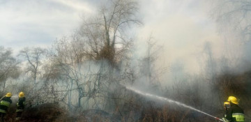 MES: Forest strip in Azerbaijan’s Oghuz protected from fire