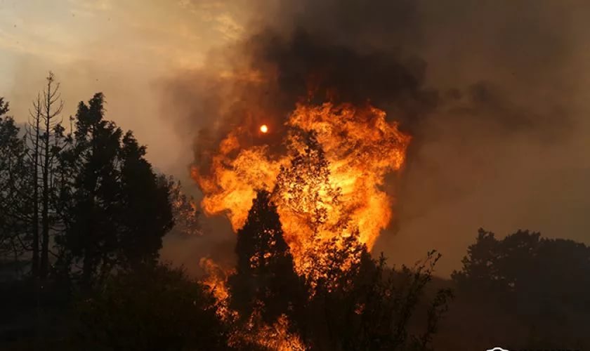 About 100 fires reported in Armenia per day