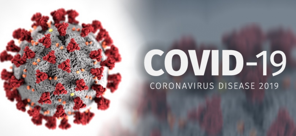 Over 24,000 people contract novel coronavirus worldwide in past day: WHO