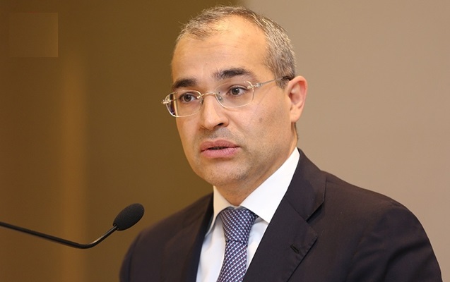 Azerbaijani minister: Adopted programs aim to preserve jobs, maintain economic activity
