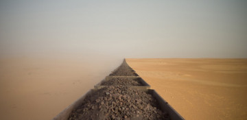 Sony World Photography Awards 2020: The year's best photographs revealed