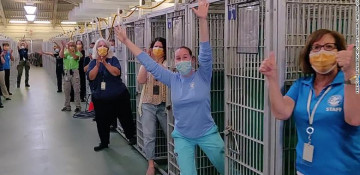 Florida animal shelter celebrates emptying a kennel for the first time ever