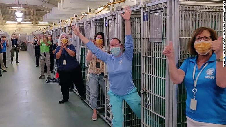 Florida animal shelter celebrates emptying a kennel for the first time ever