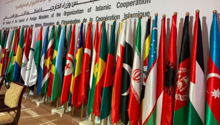 OIC Executive Committee to meet via videoconference