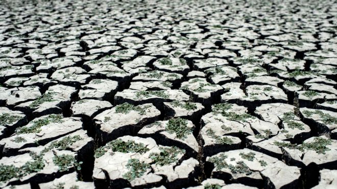 Climate change: World mustn't forget 'deeper emergency'