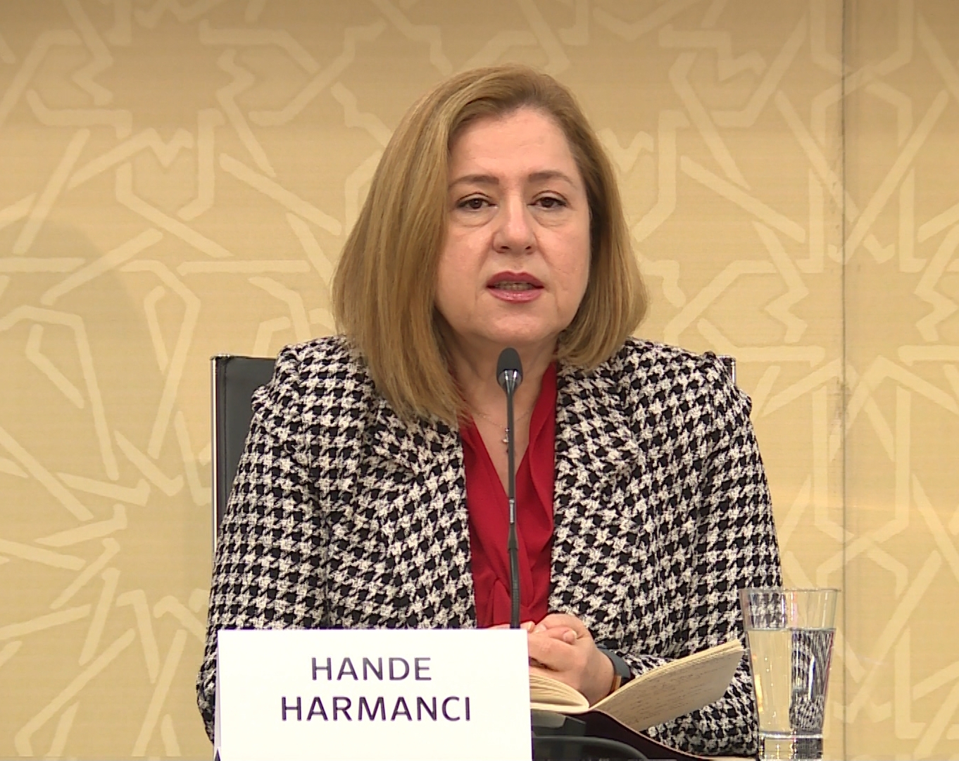 WHO: Azerbaijan applying best int’l practice to fight COVID-19