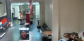 Australian police arrest German student over museum break-in