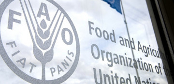 FAO designs projects aimed at overcoming COVID-19 consequences in Azerbaijan