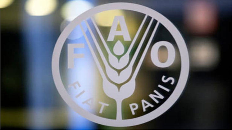FAO, Azerbaijan to develop new program