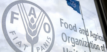Azerbaijan, FAO start implementing new joint project under Partnership Program
