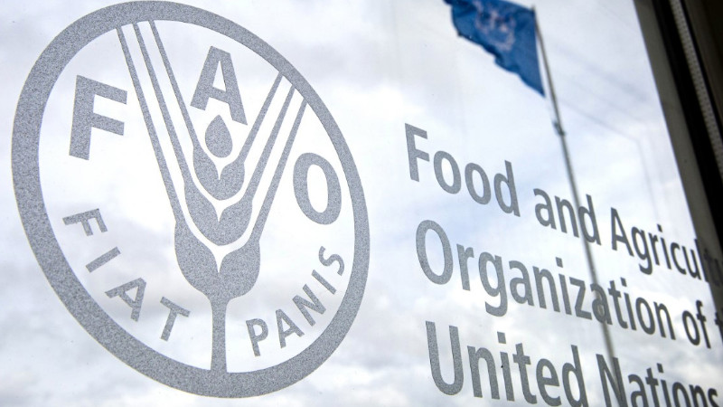 Azerbaijan, FAO start implementing new joint project under Partnership Program