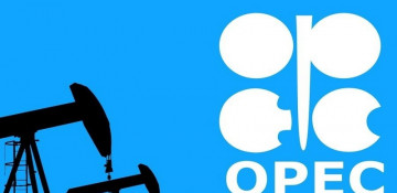 OPEC+ panel meeting next week will advise on policy, not decide