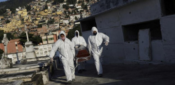 Global COVID-19 cases exceed 8 million