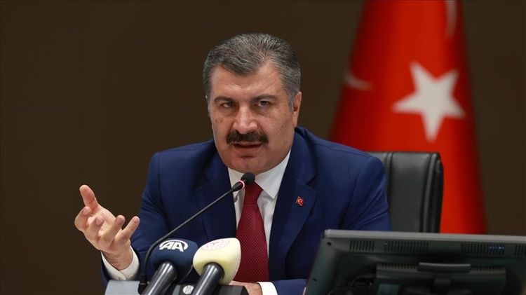 Turkey not experiencing 2nd wave of virus: Minister