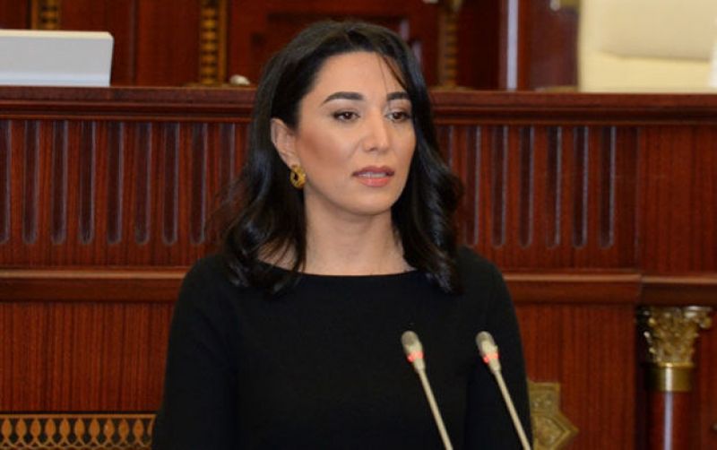 Azerbaijani Ombudsman appeals to int’l organizations on Armenians’ attacks on peaceful Azerbaijanis abroad