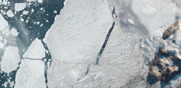 Satellites capture Arctic ice split in Canada's Ellesmere Island
