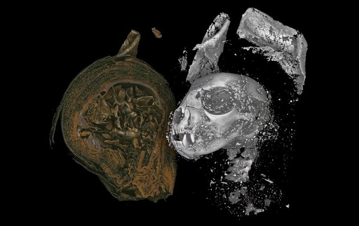 Scientists peer inside ancient Egyptian cat, snake and bird mummies