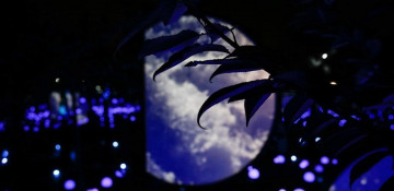 High-tech light show adorns lakeside park in downtown Beijing