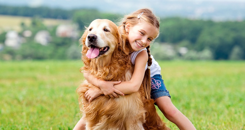 Children who grow up with a dog 'are better behaved', research suggests