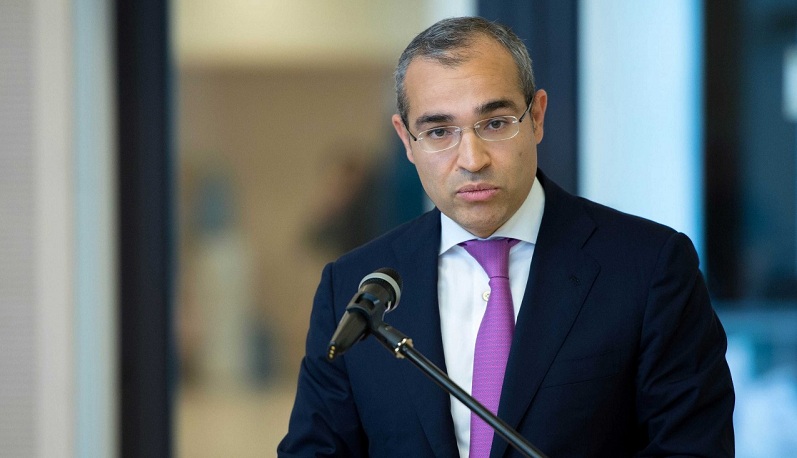 Azerbaijani minister sure that President Aliyev’s appeal to entrepreneurs living abroad to have bigger effect