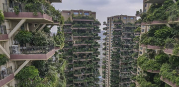 Chinese city welcomes another 'vertical forest' in concrete jungle