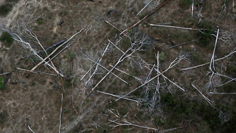 Eight European countries urge Brazil to take action on Amazon deforestation