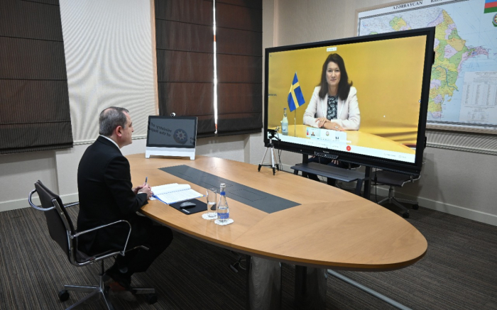 Azerbaijani, Swedish FMs meet in video format