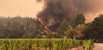 Thousands flee homes near LA as wildfire rages