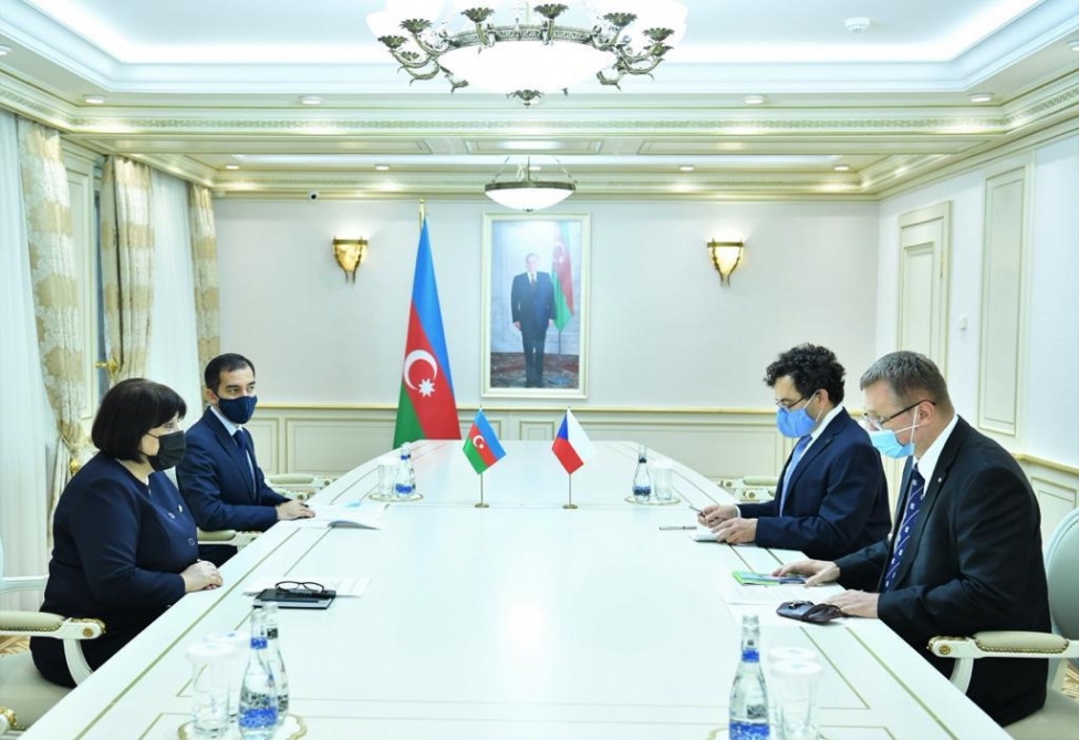 Azerbaijan is important strategic partner for Czech Republic, envoy says
