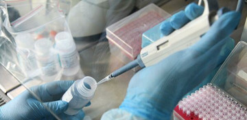 Georgia to receive half million rapid COVID-19 tests