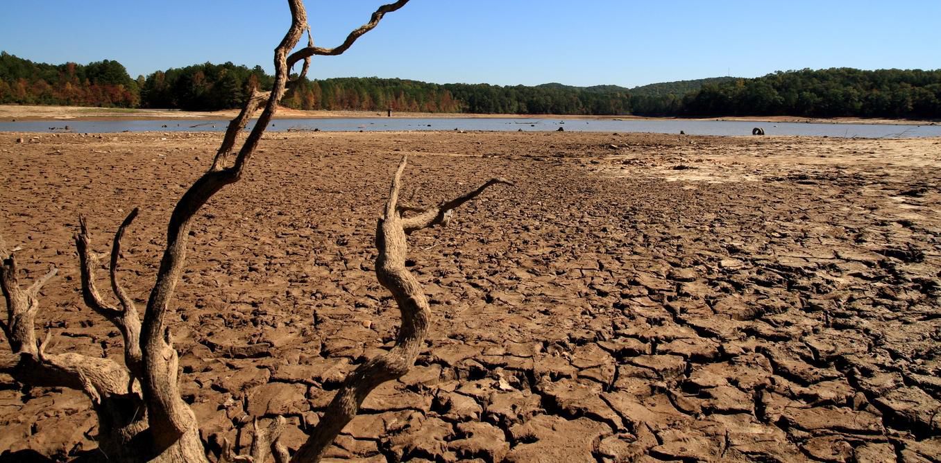 FAO's flagship report urges for immediate move to address global water shortages