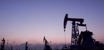 OPEC+ supports 0.5 mln bpd output growth since January, monthly meetings