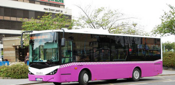 Public transport suspends operation from today till December 7