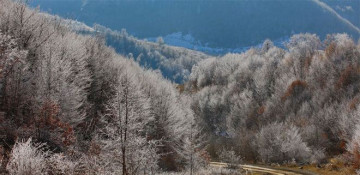Breakthrough beauty of Kalbajar through lens of well-known photojournalist Reza Deghati