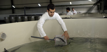 Azerbaijan endorses FAO-Turkey Partnership Program project on fisheries