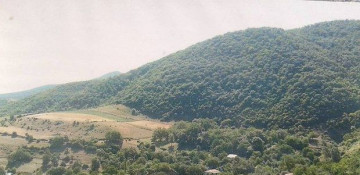 One injured as result of Armenian provocation in Nagorno-Karabakh